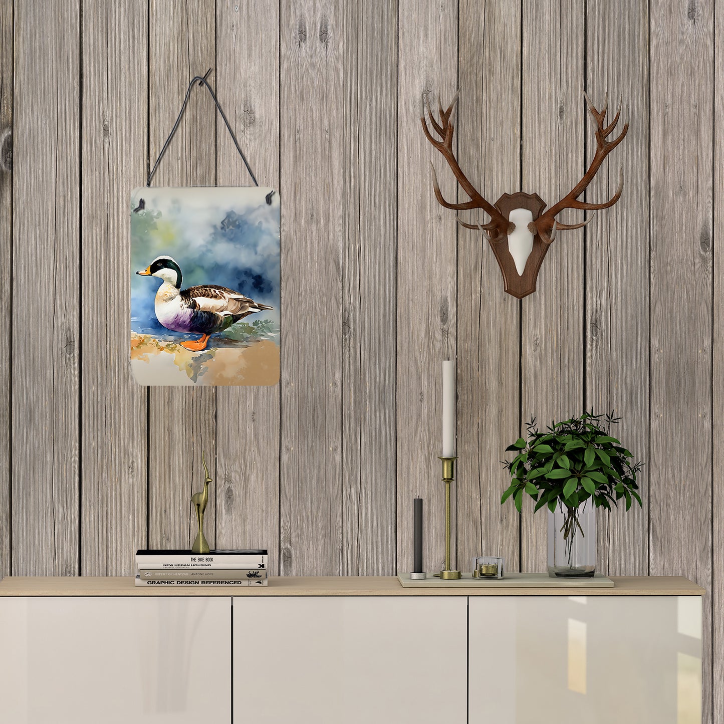 Common Eider Duck Wall or Door Hanging Prints