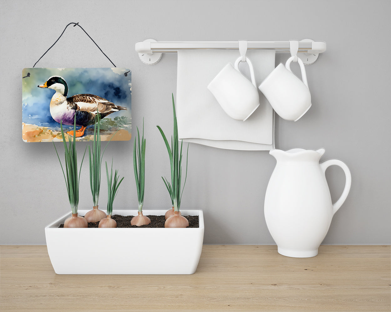 Common Eider Duck Wall or Door Hanging Prints