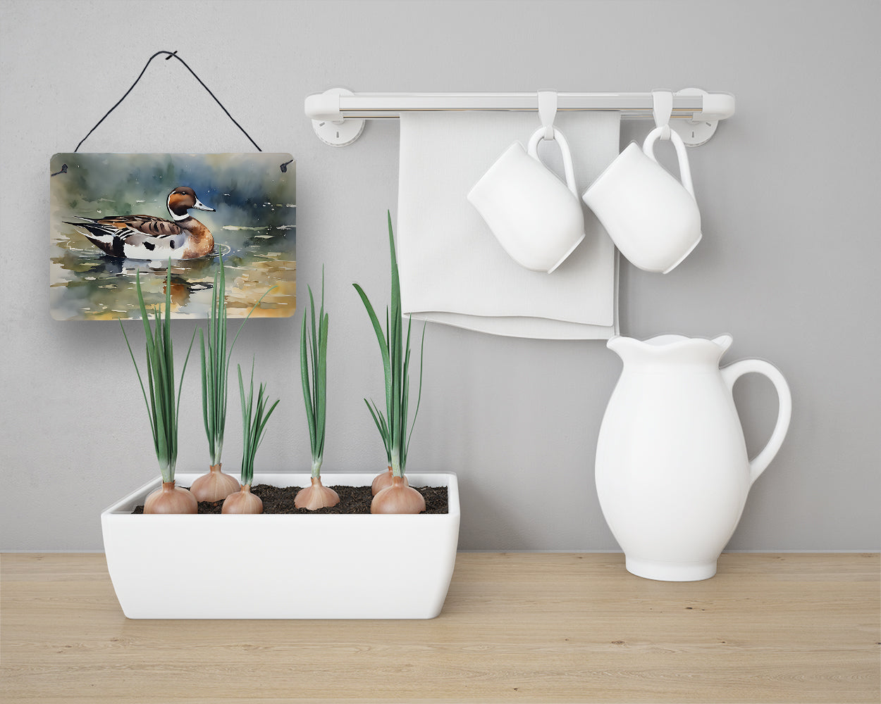 Northern Pintail Wall or Door Hanging Prints