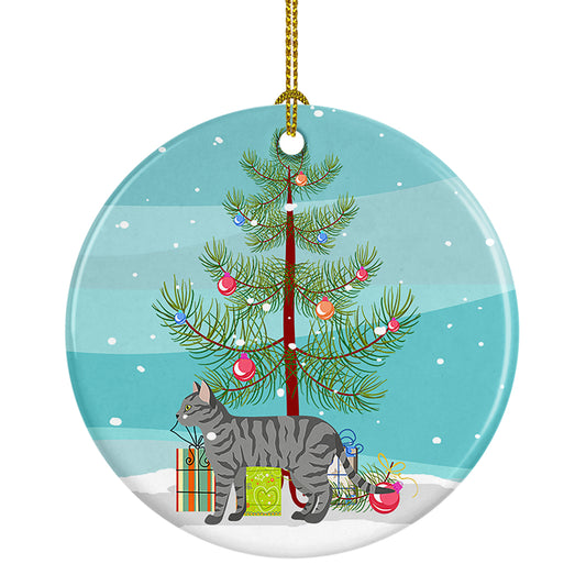 Buy this Dragon Li Cat Christmas Ceramic Ornament