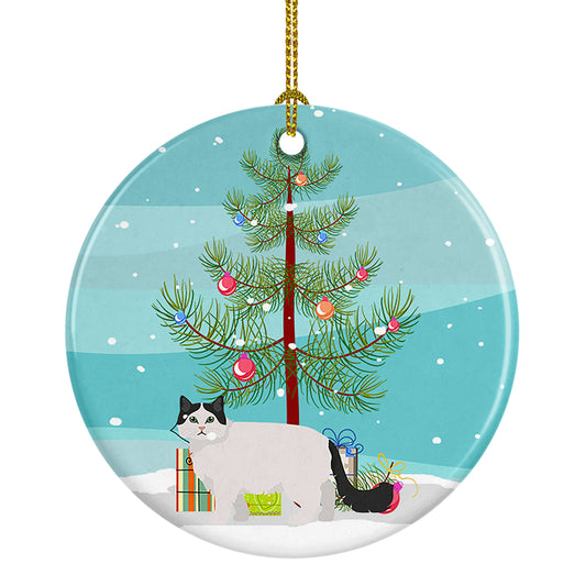 Buy this Ragamuffin Cat  Christmas Ceramic Ornament