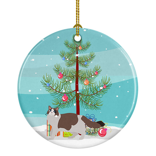 Buy this Ragdoll Cat  Christmas Ceramic Ornament