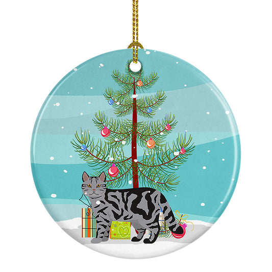 Buy this Scottish Straight Cat Christmas Ceramic Ornament