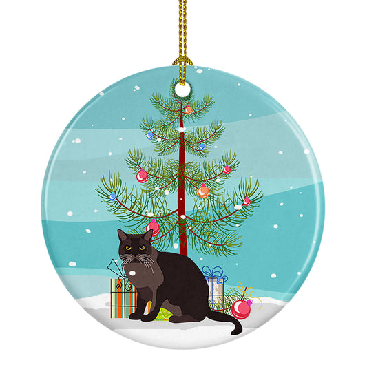 Buy this European Burmese Cat Christmas Ceramic Ornament