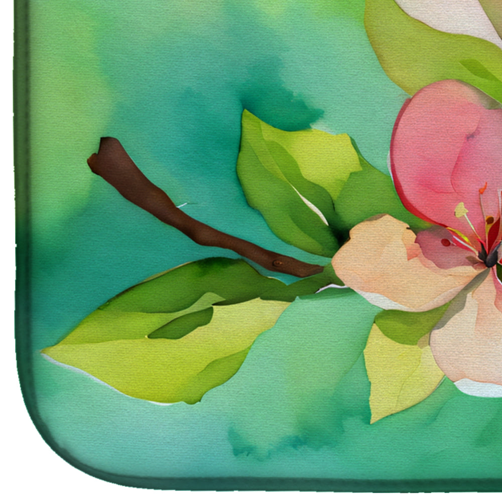Arkansas Apple Blossom in Watercolor Dish Drying Mat