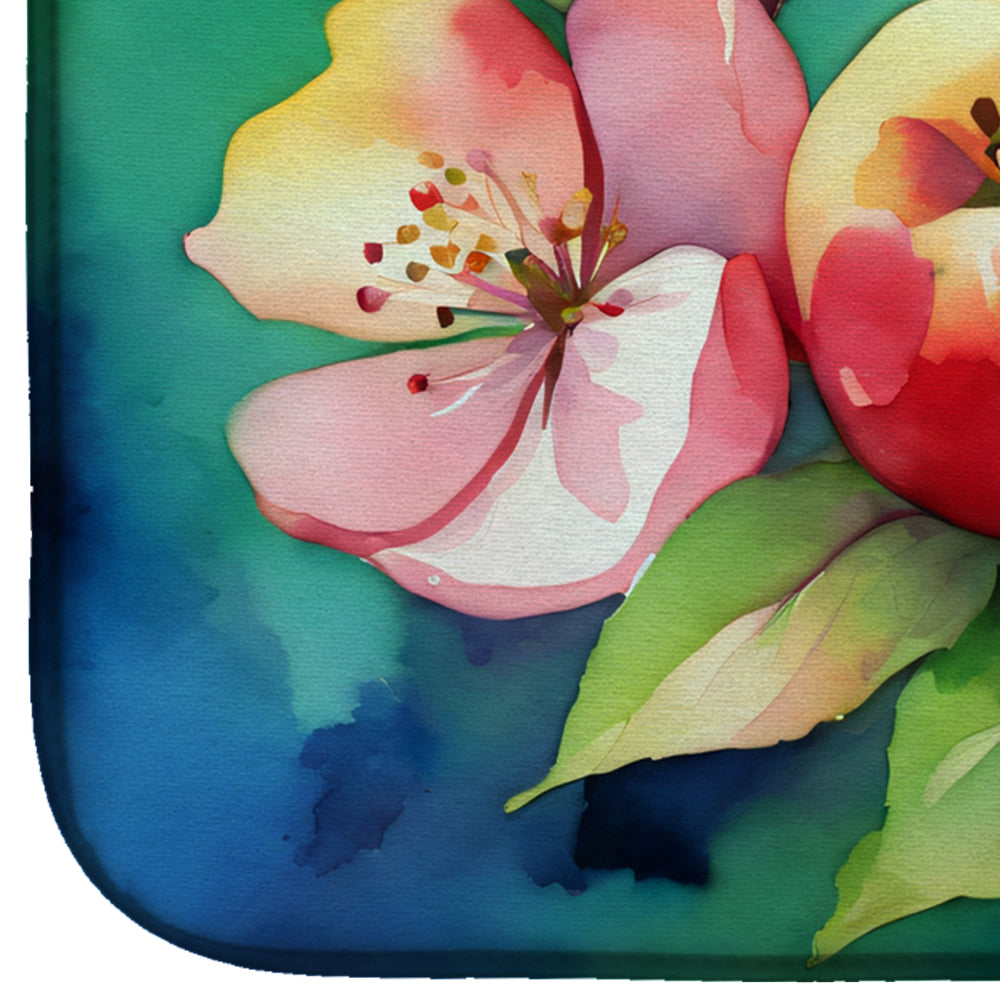 Arkansas Apple Blossom in Watercolor Dish Drying Mat