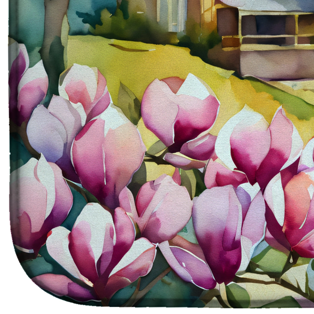 Louisiana Magnolias in Watercolor Dish Drying Mat