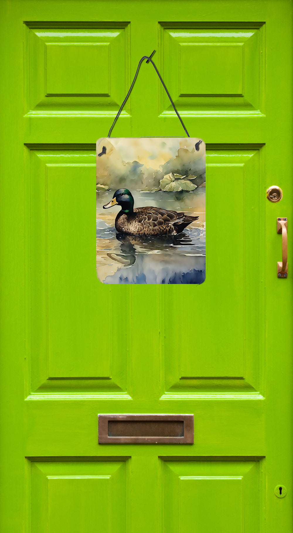 American Black Duck Wall or Door Hanging Prints