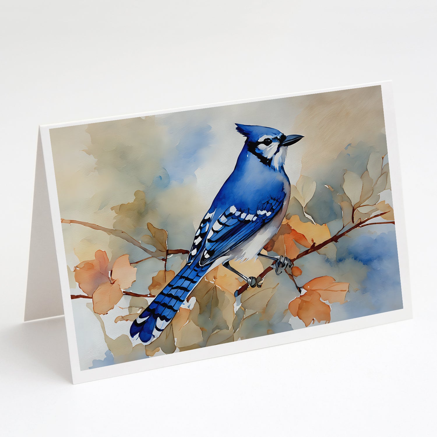 Buy this Blue Jay Greeting Cards Pack of 8