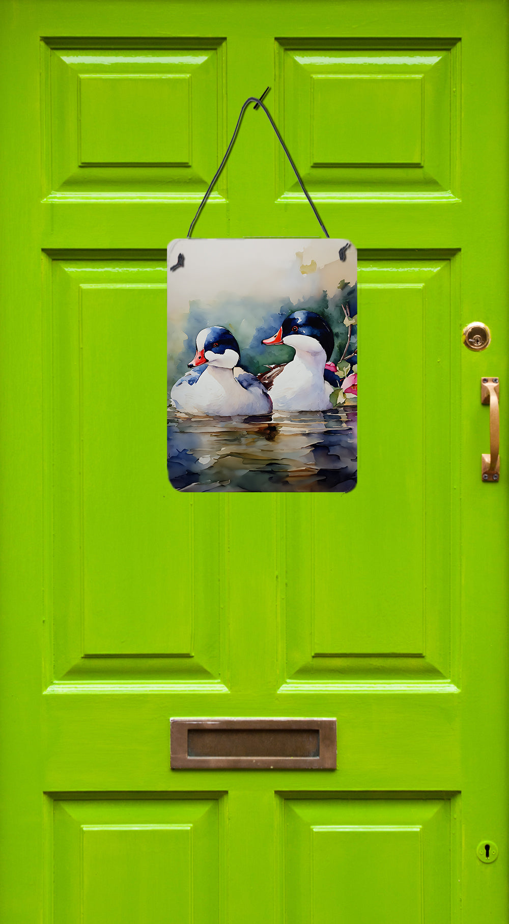 Bufflehead Wall or Door Hanging Prints