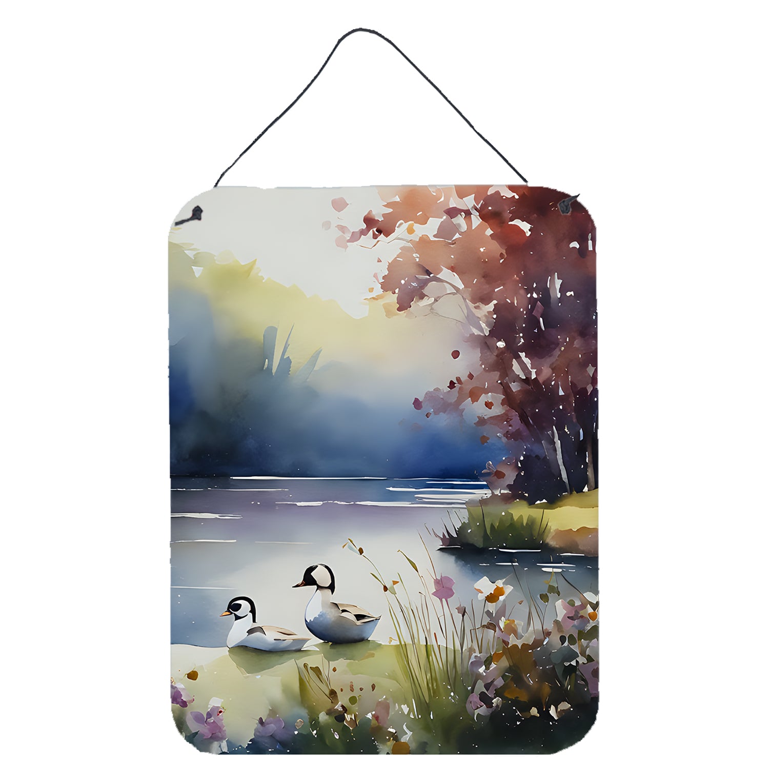 Buy this Bufflehead Wall or Door Hanging Prints