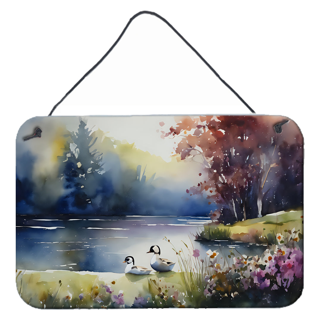 Buy this Bufflehead Wall or Door Hanging Prints