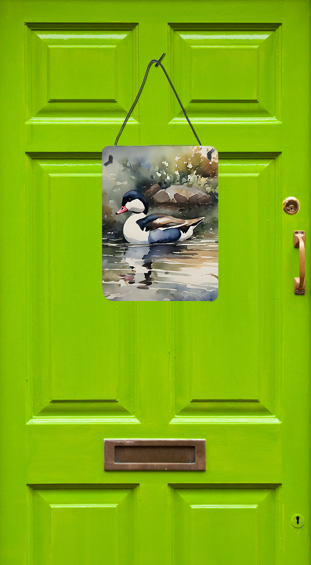 Bufflehead Wall or Door Hanging Prints