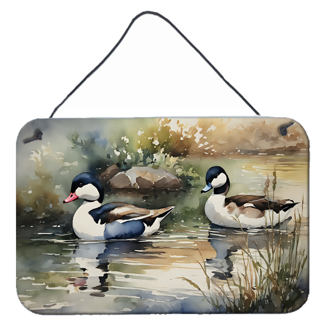 Buy this Bufflehead Wall or Door Hanging Prints