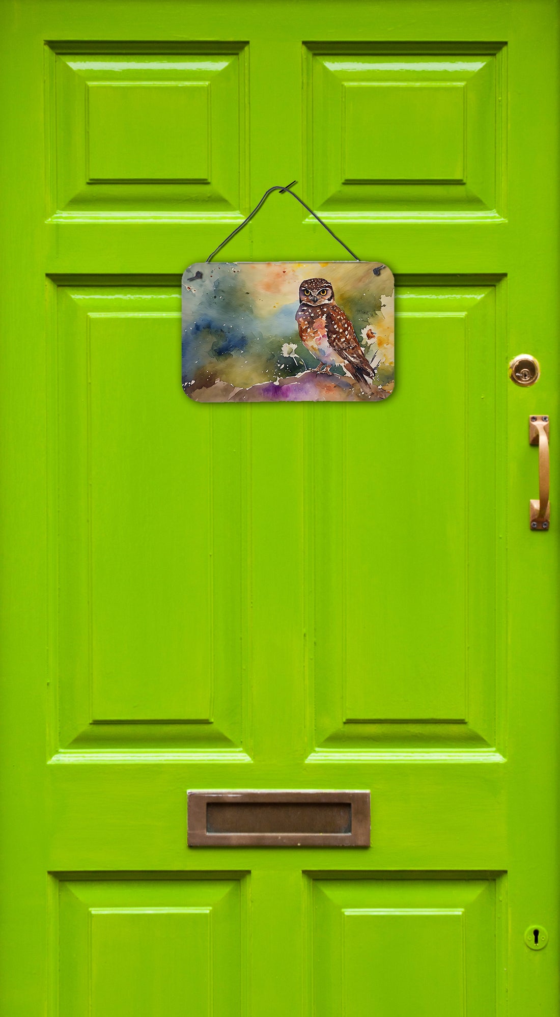 Burrowing Owl Wall or Door Hanging Prints