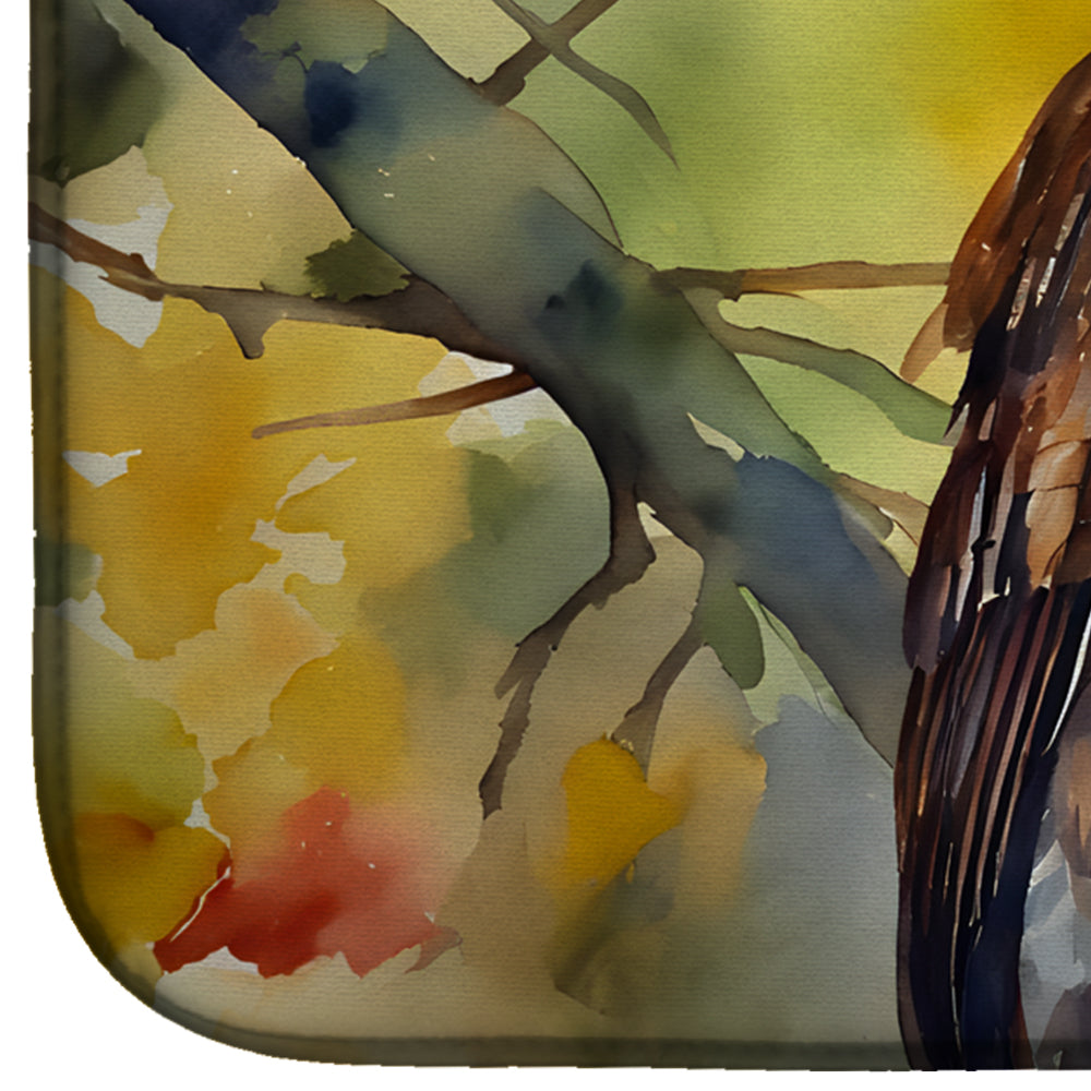 Eastern Screech Owl Dish Drying Mat