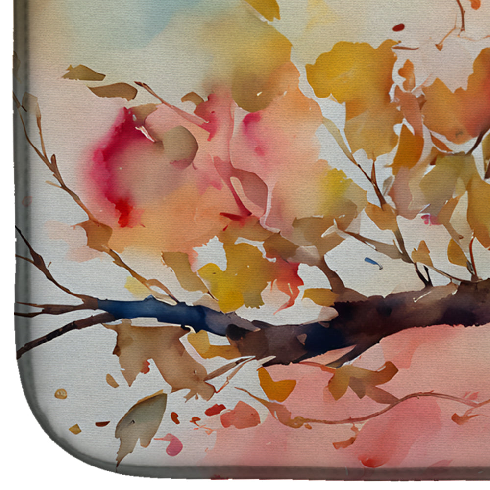 Elf Owl Dish Drying Mat