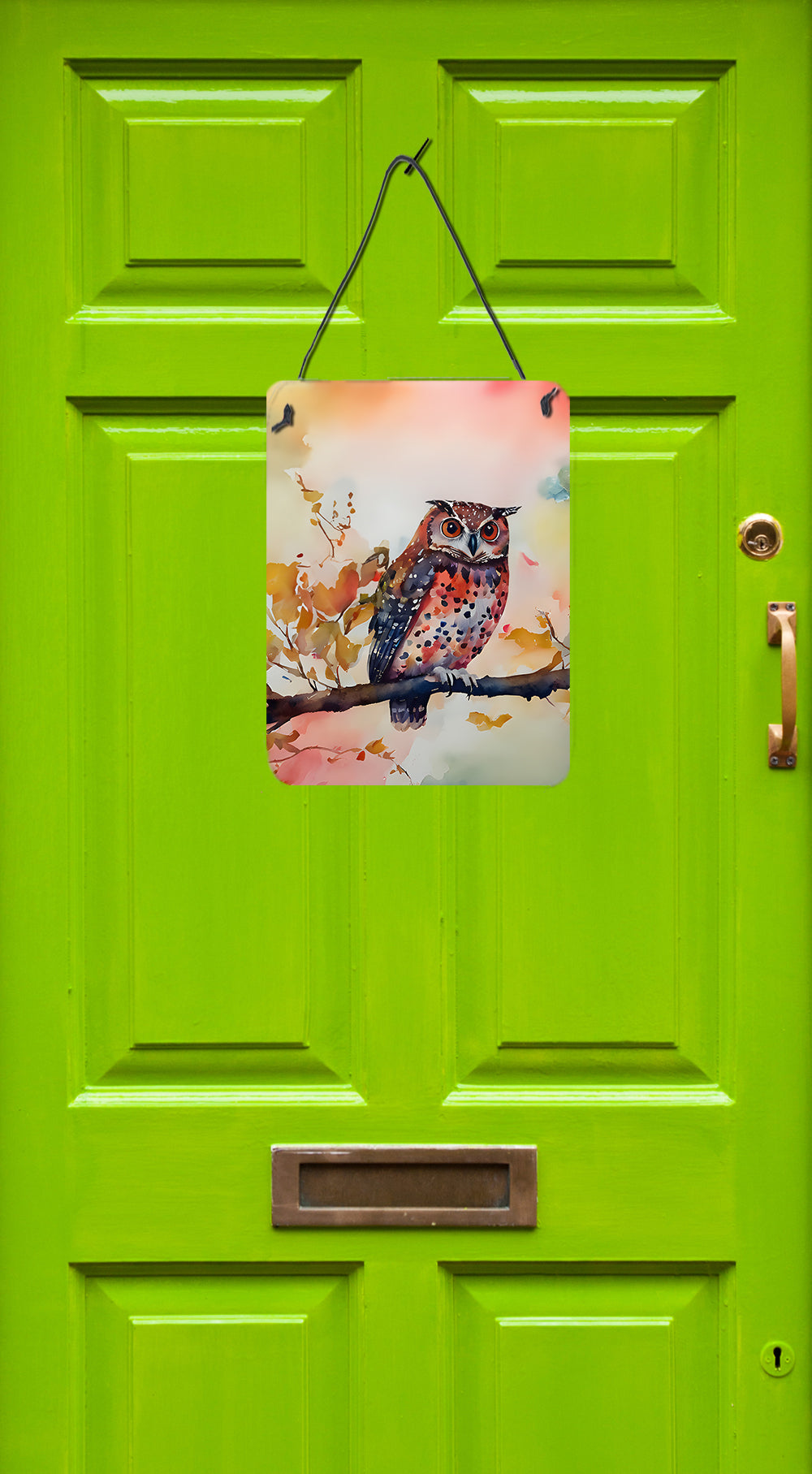 Elf Owl Wall or Door Hanging Prints