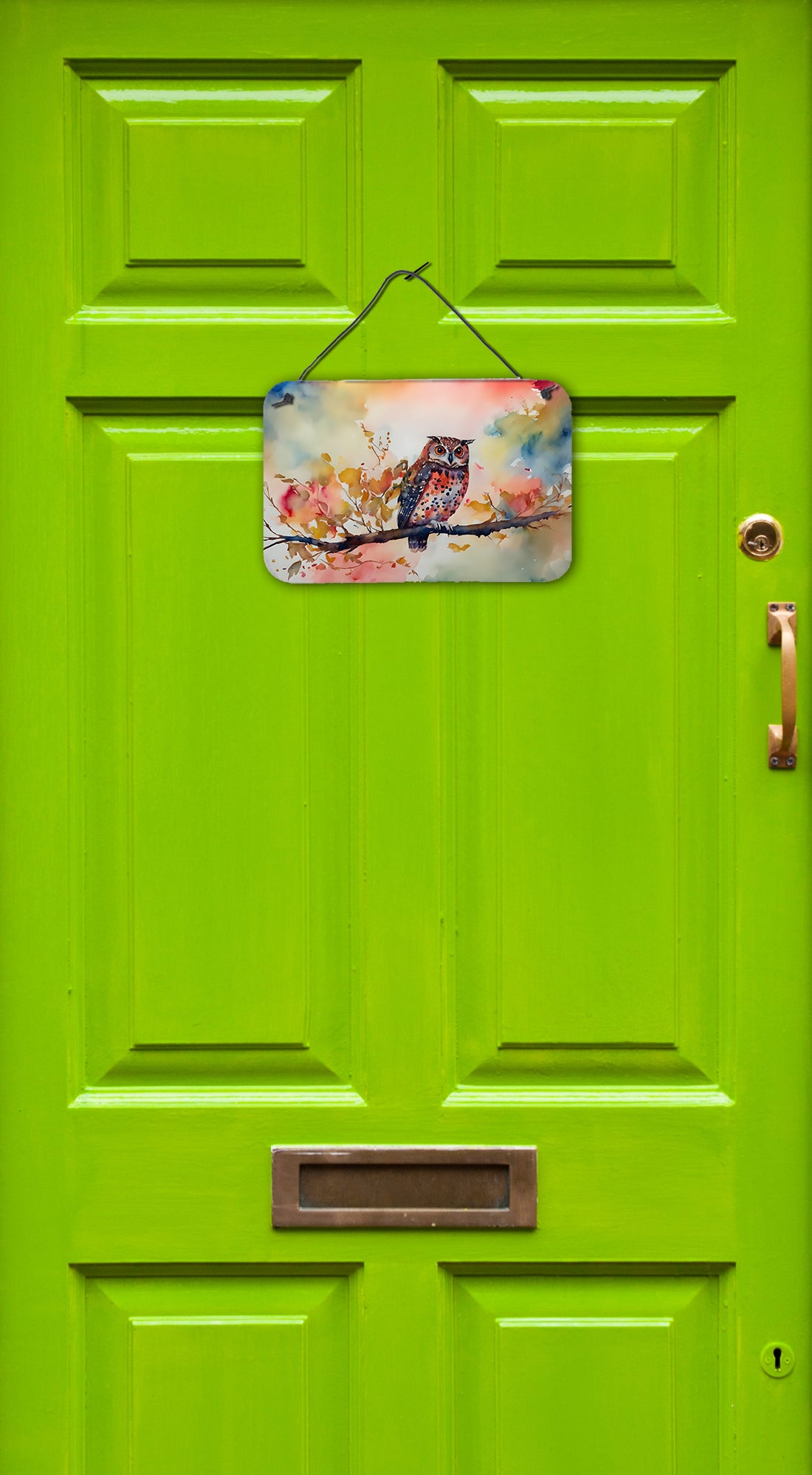 Elf Owl Wall or Door Hanging Prints