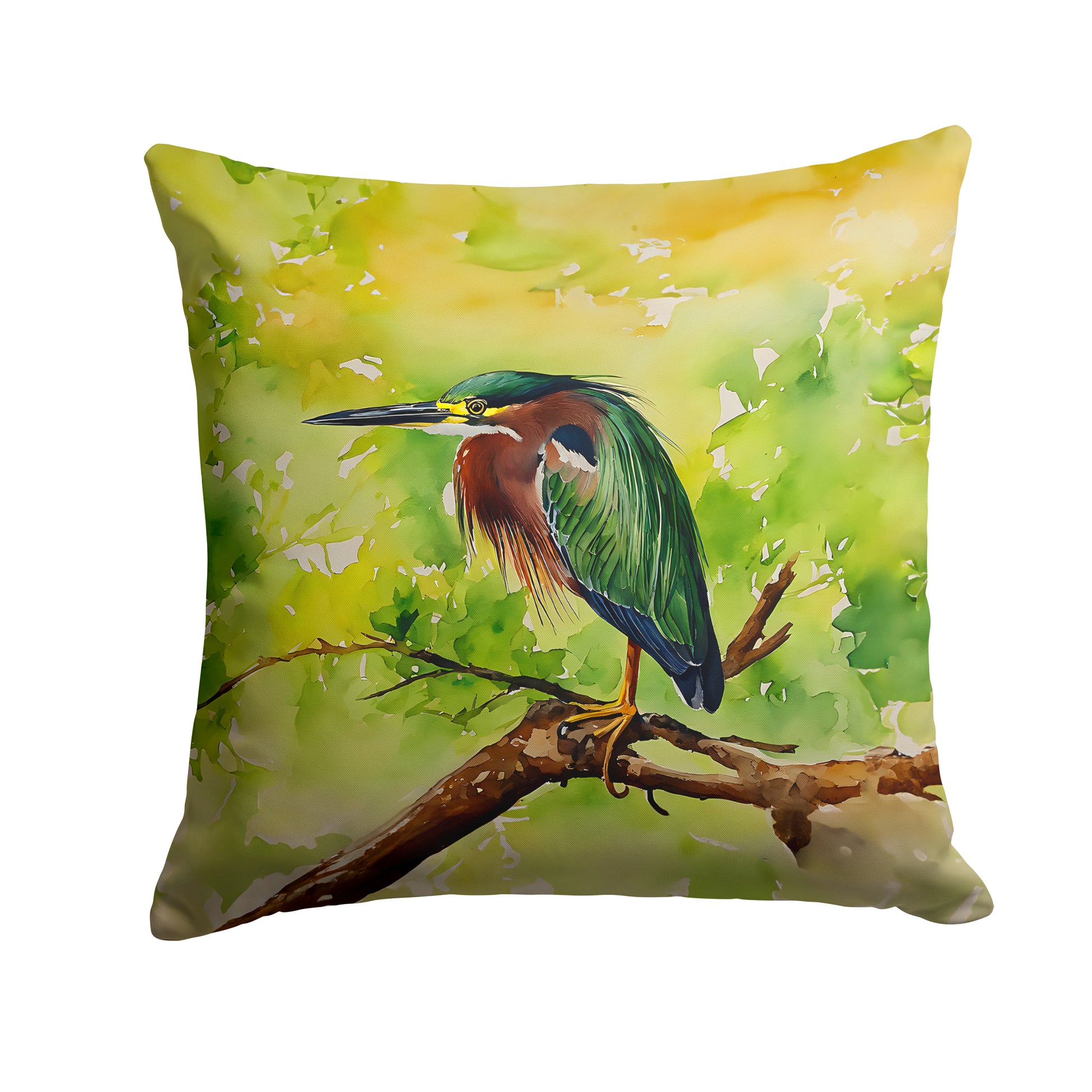 Buy this Green Heron Throw Pillow