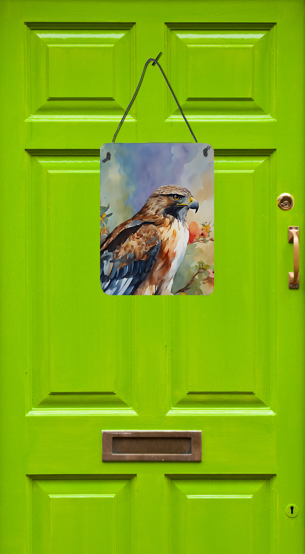 Hawk Wall or Door Hanging Prints