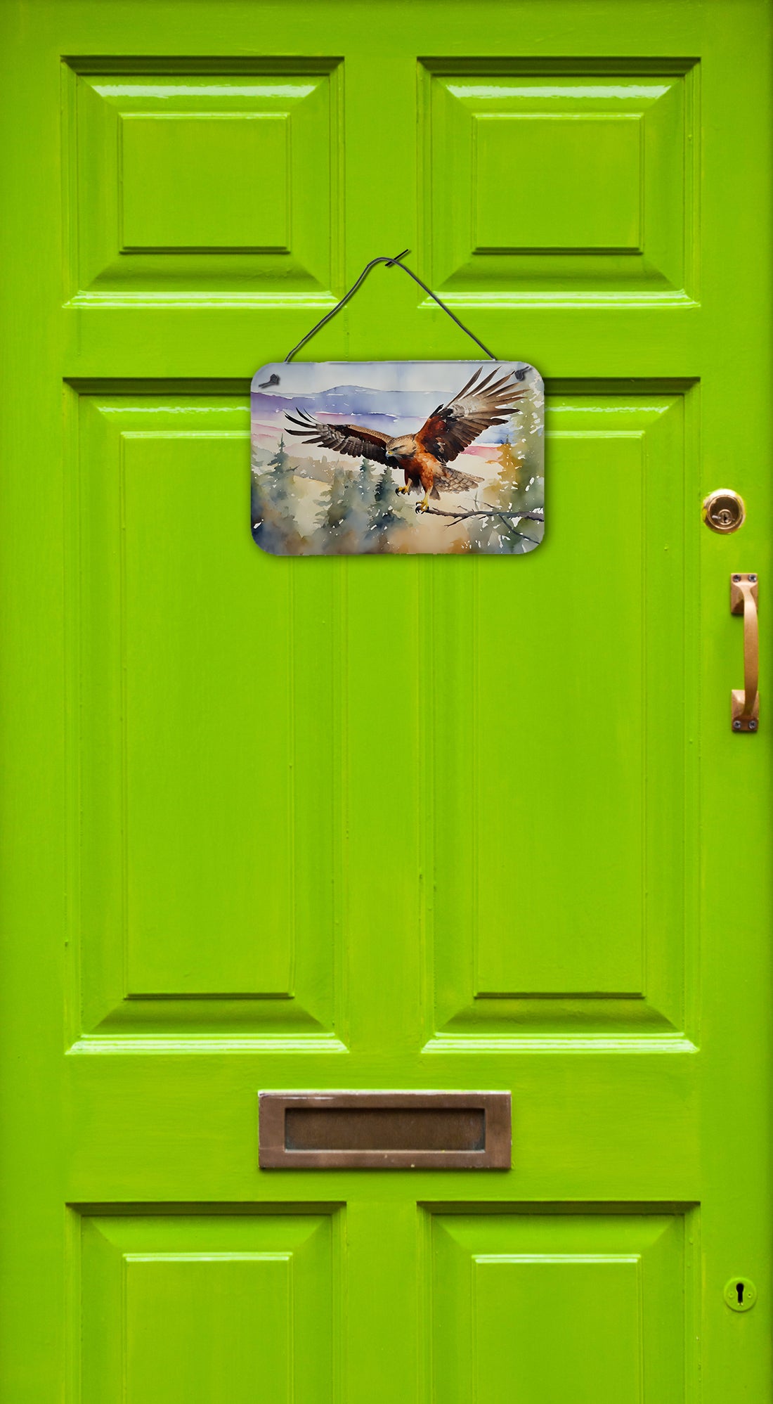 Hawk Wall or Door Hanging Prints