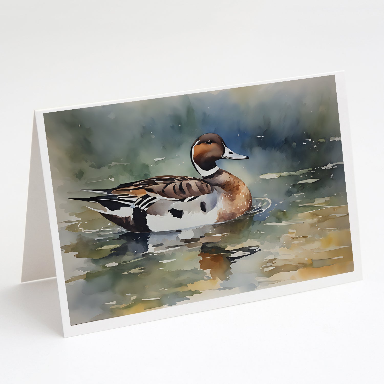 Buy this Northern Pintail Greeting Cards Pack of 8