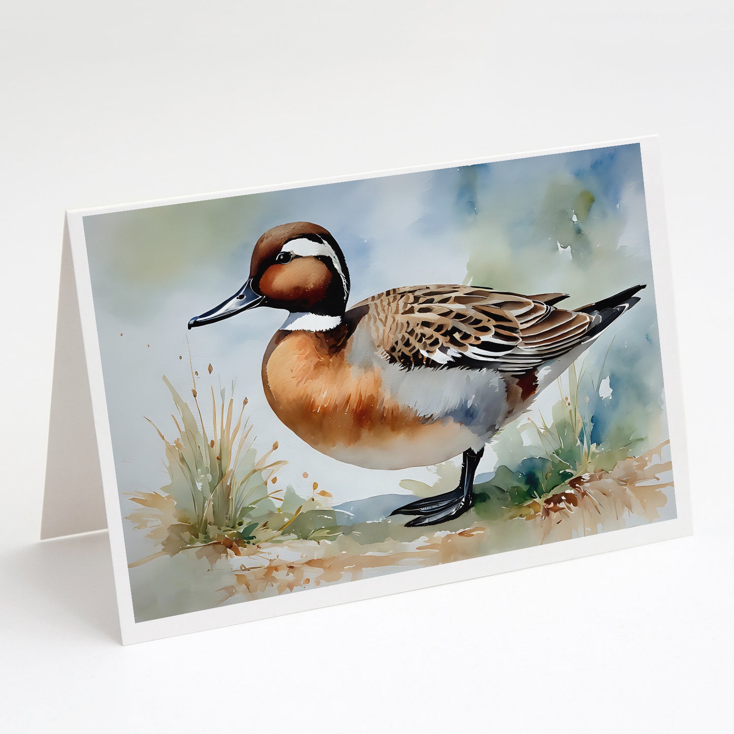 Buy this Northern Pintail Greeting Cards Pack of 8