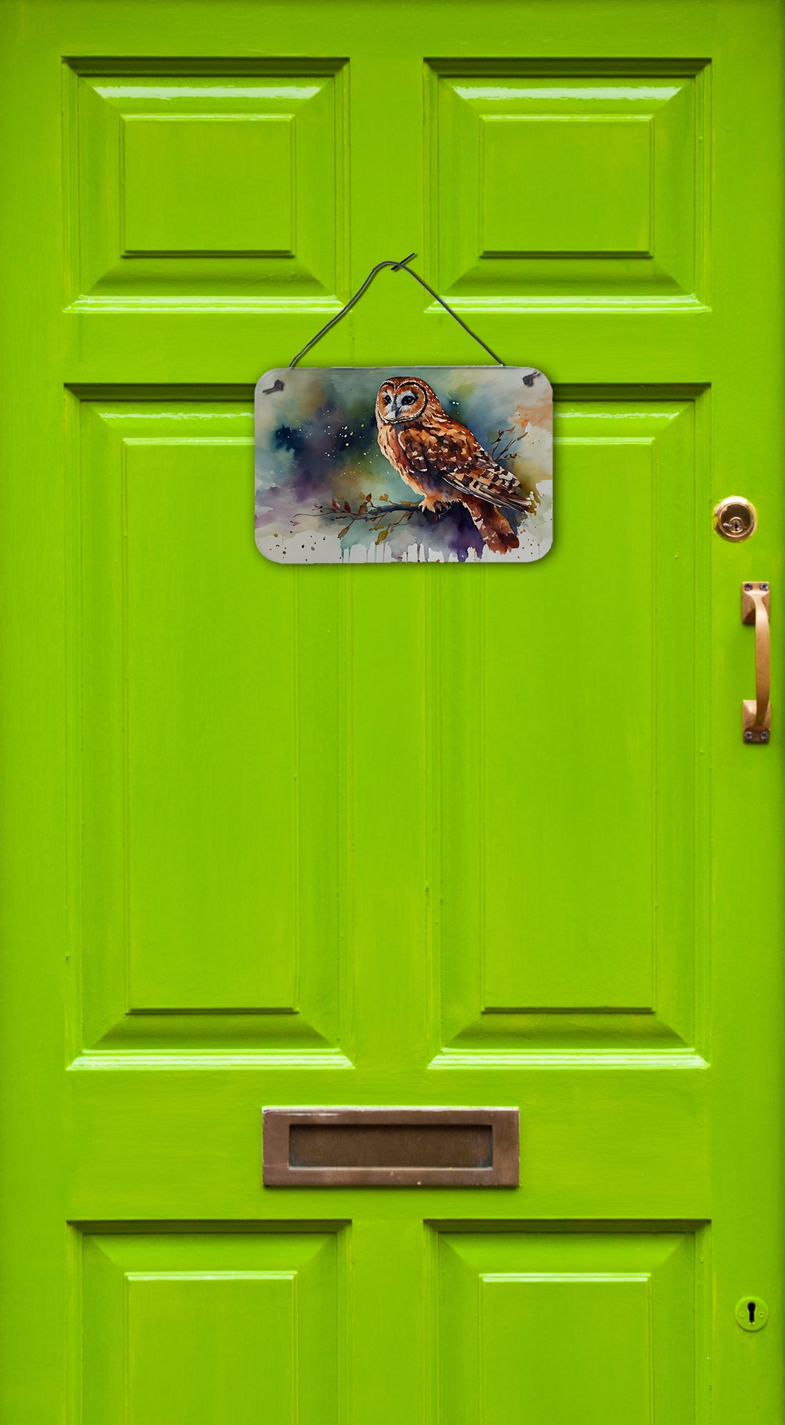 Tawny Owl Wall or Door Hanging Prints