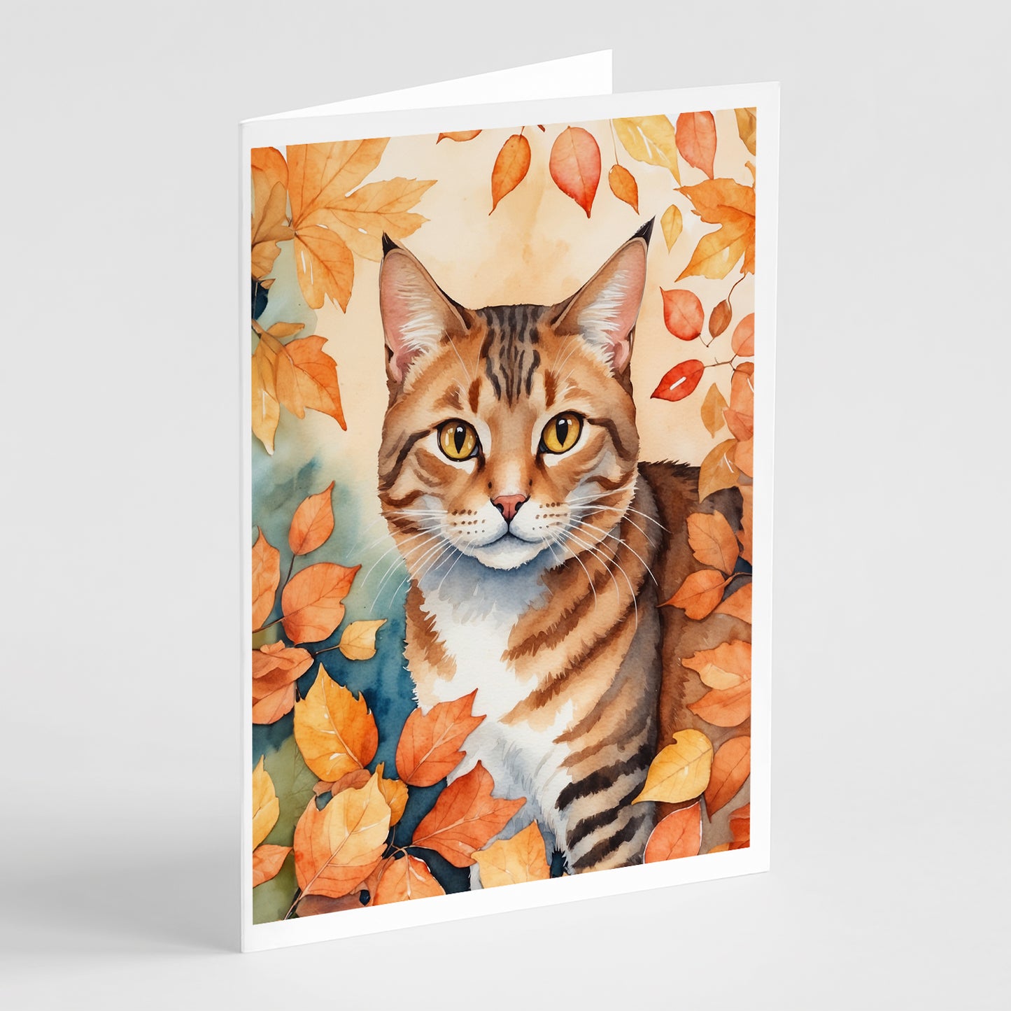 Buy this Aegean Cat in Fall Leaves Greeting Cards Pack of 8