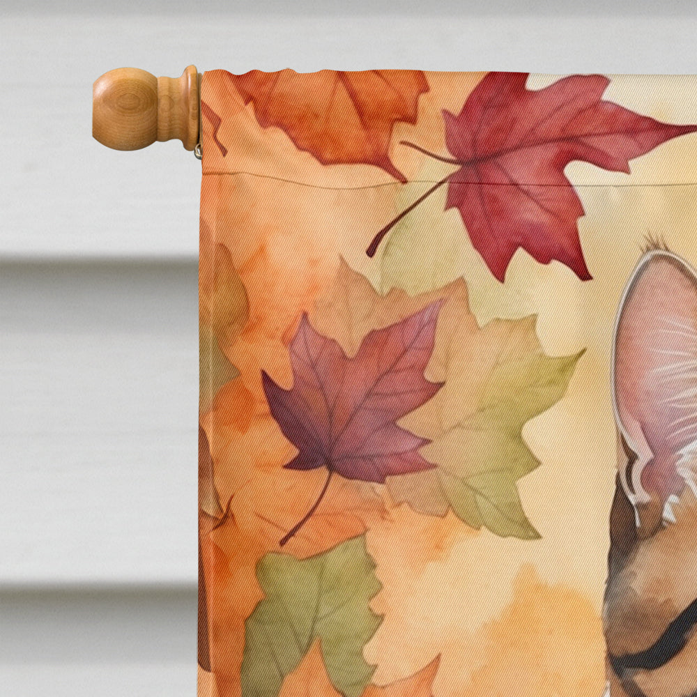 American Polydactyl Cat in Fall Leaves House Flag
