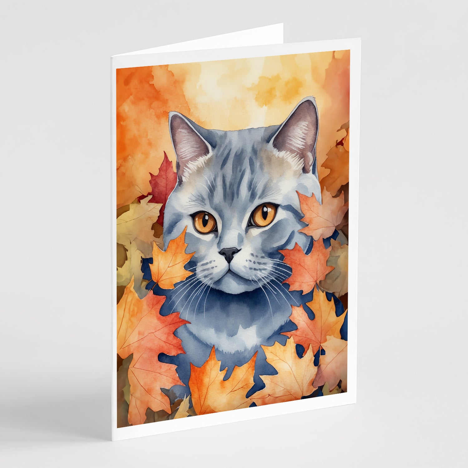Buy this British Shorthair Cat in Fall Leaves Greeting Cards Pack of 8