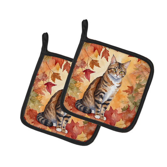Buy this California Spangled Cat in Fall Leaves Pair of Pot Holders