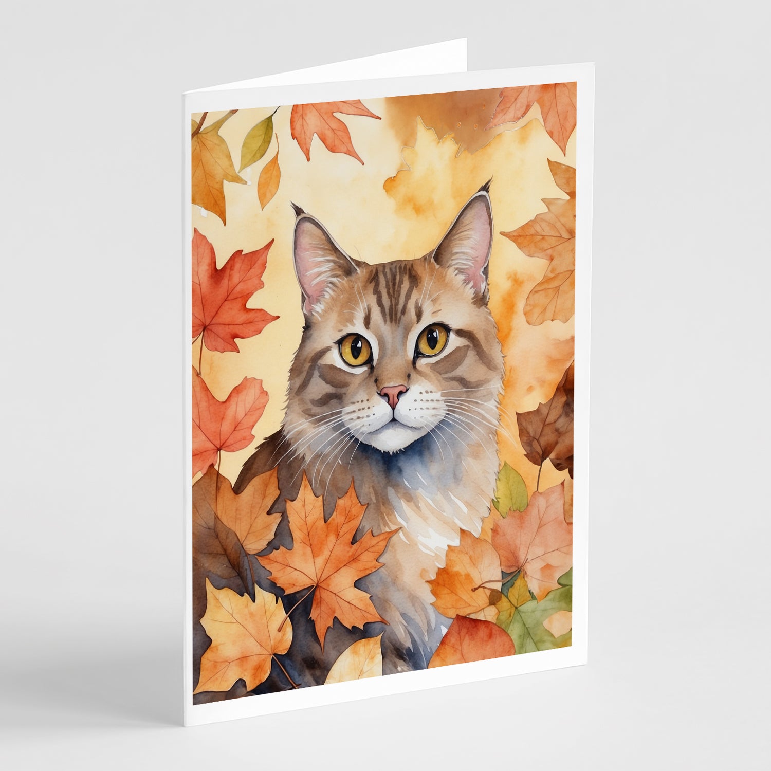 Buy this Dwelf Cat in Fall Leaves Greeting Cards Pack of 8