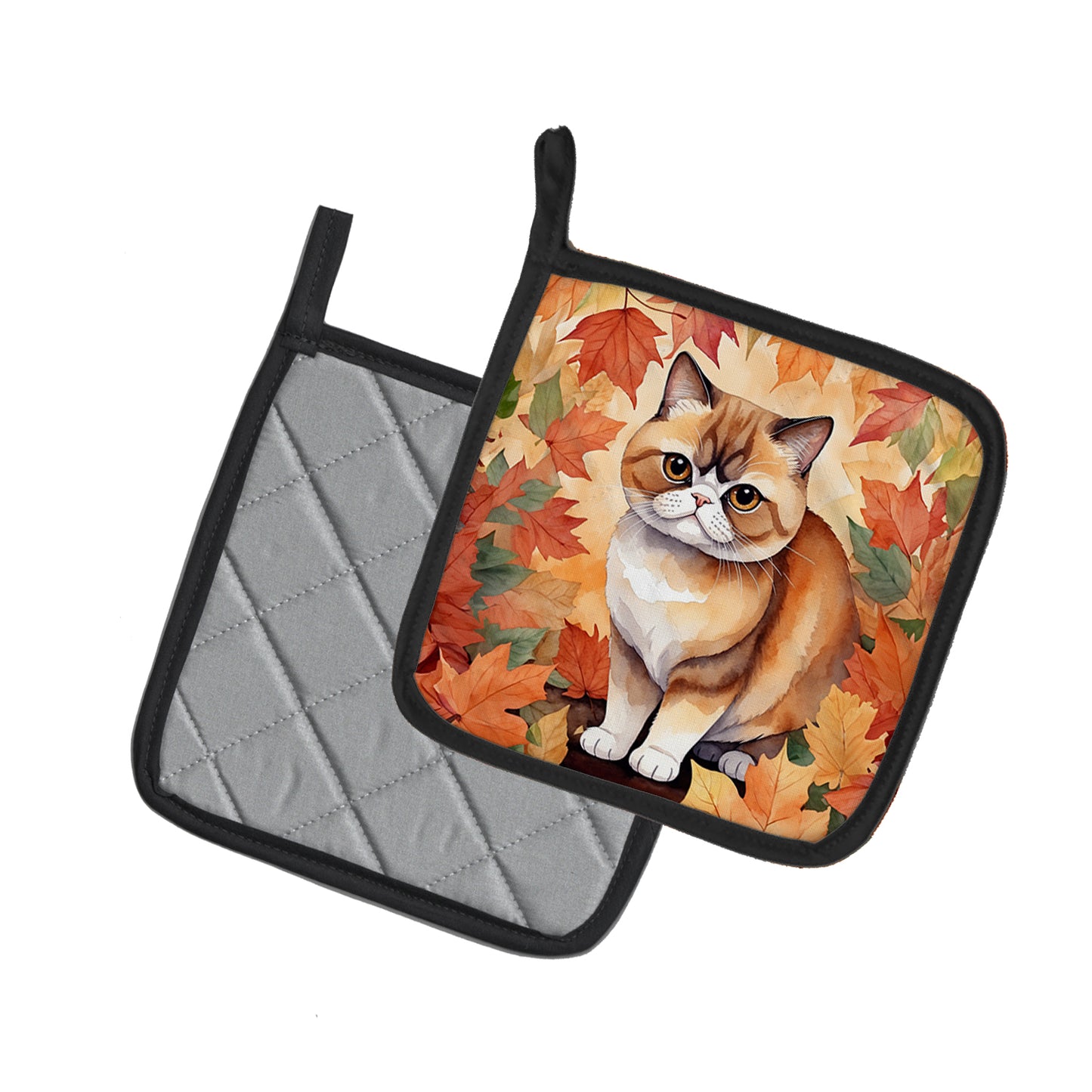 Exotic Shorthair Cat in Fall Leaves Pair of Pot Holders