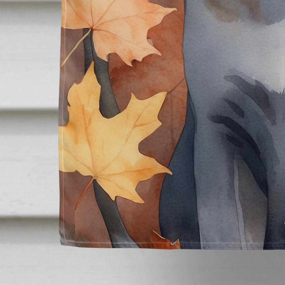 Korat Cat in Fall Leaves House Flag
