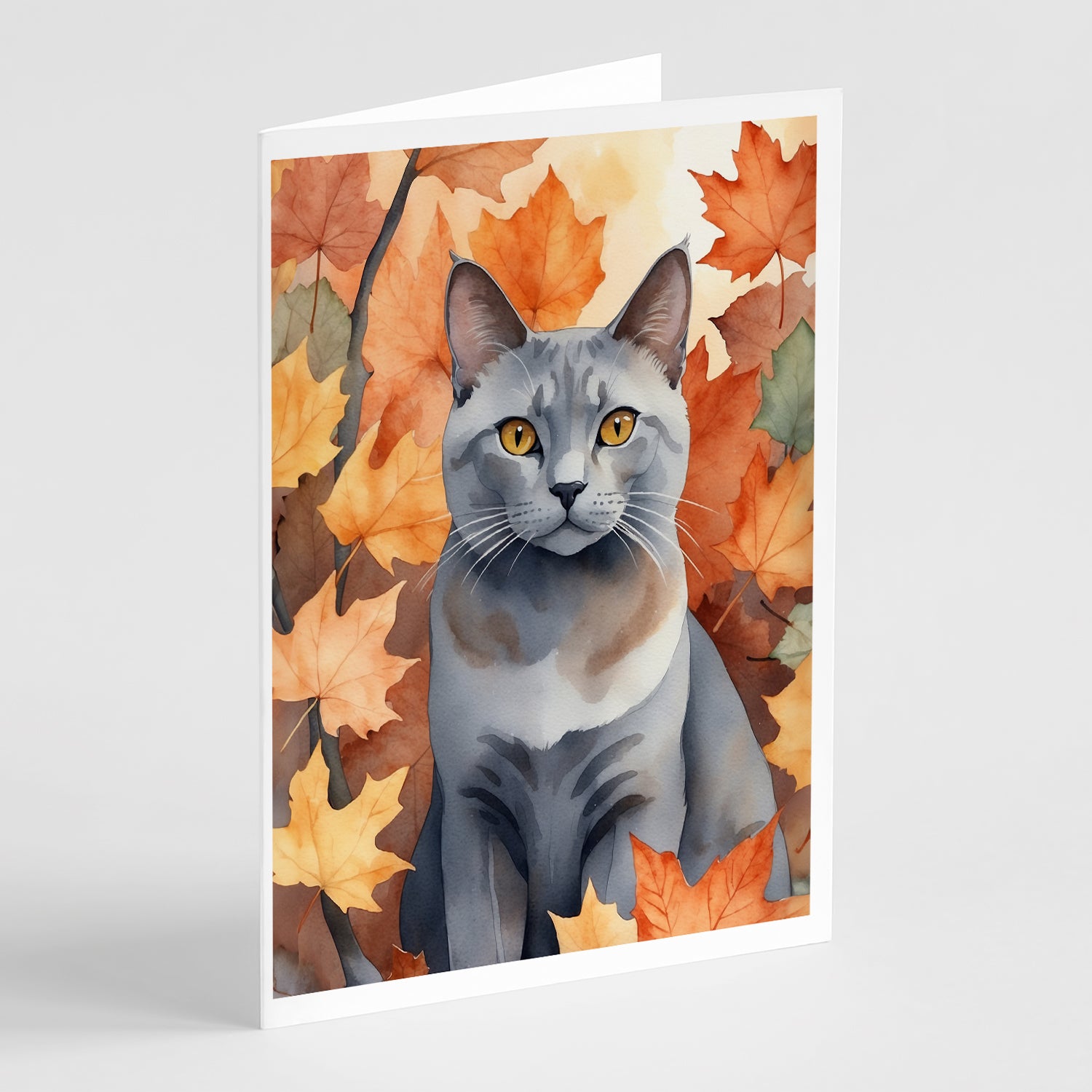 Buy this Korat Cat in Fall Leaves Greeting Cards Pack of 8