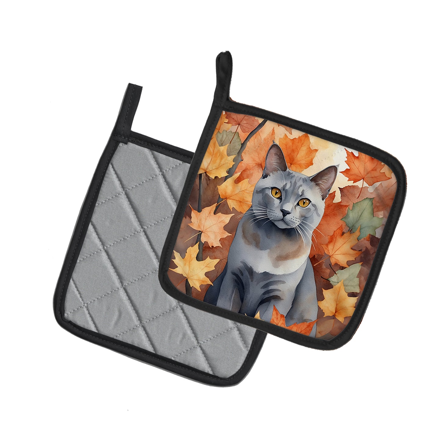 Korat Cat in Fall Leaves Pair of Pot Holders
