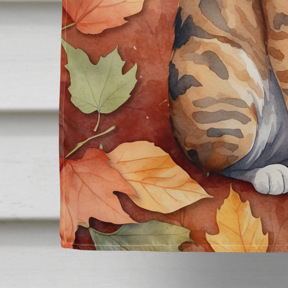 Oregon Rex Cat in Fall Leaves House Flag
