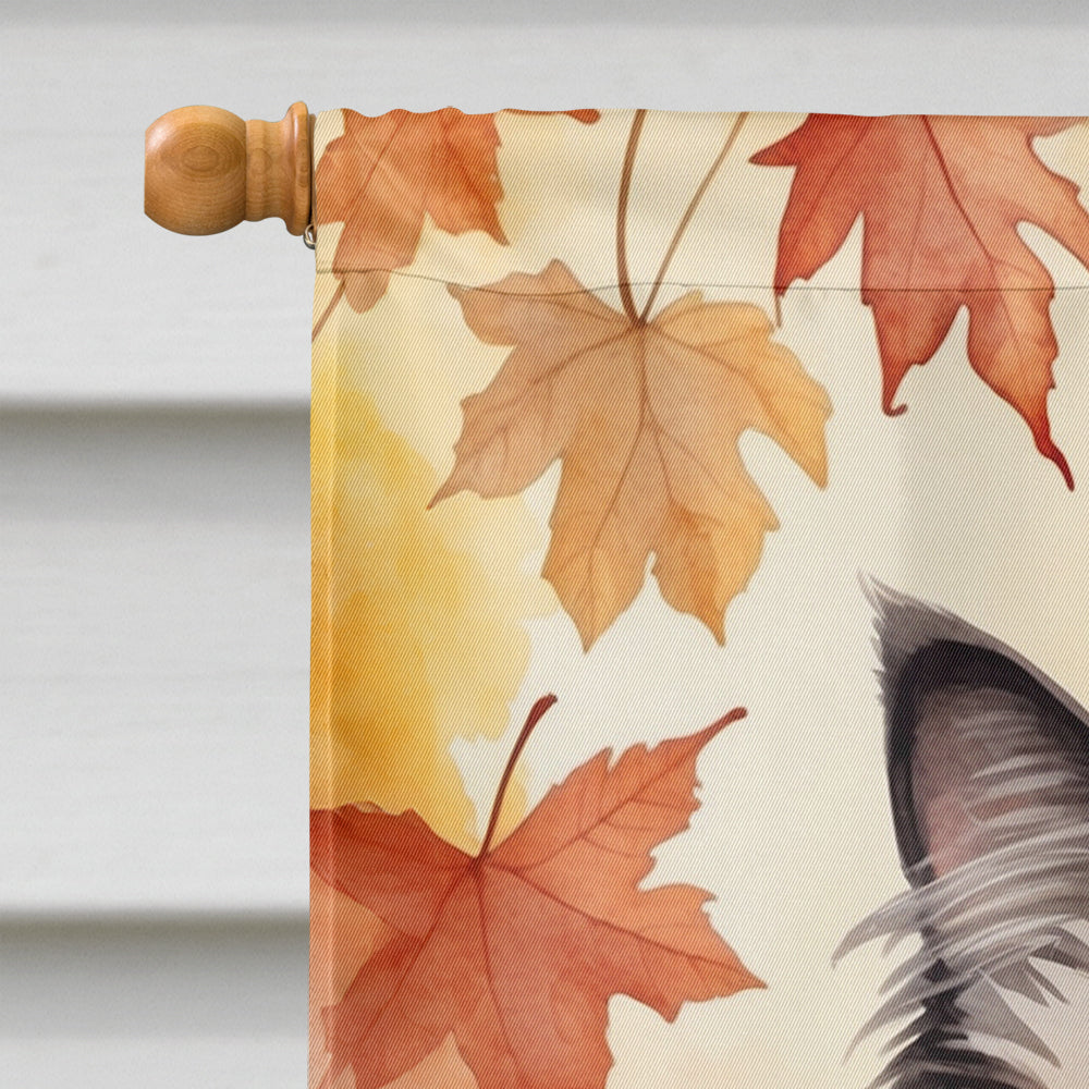Ragdoll Cat in Fall Leaves House Flag