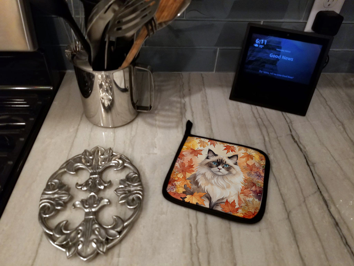 Ragdoll Cat in Fall Leaves Pair of Pot Holders