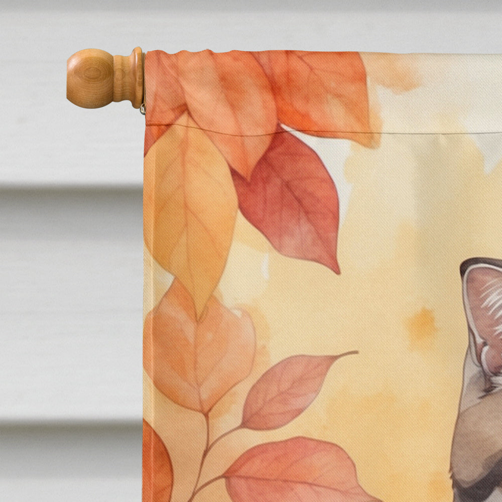 Scottish Fold Cat in Fall Leaves House Flag
