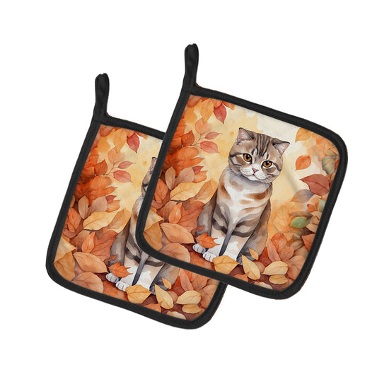 Buy this Scottish Fold Cat in Fall Leaves Pair of Pot Holders