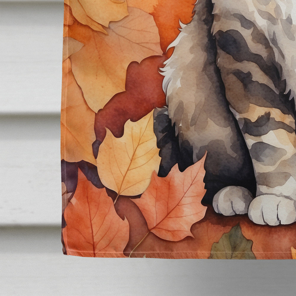 Selkirk Rex Cat in Fall Leaves House Flag