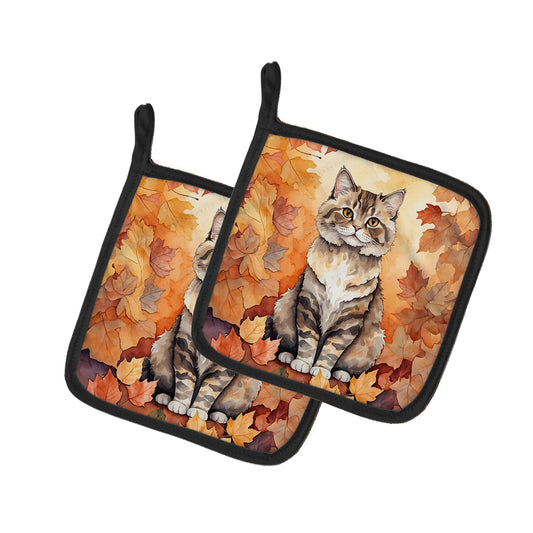 Buy this Selkirk Rex Cat in Fall Leaves Pair of Pot Holders