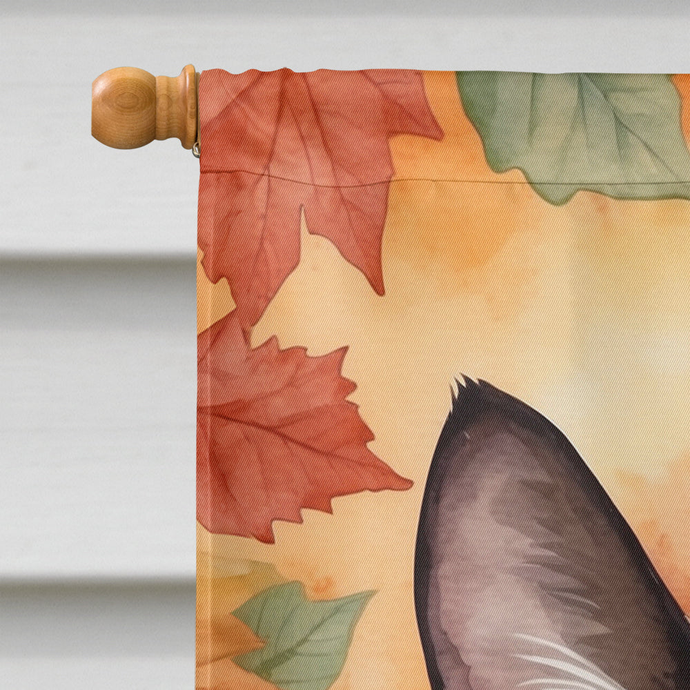 Snowshoe Cat in Fall Leaves House Flag