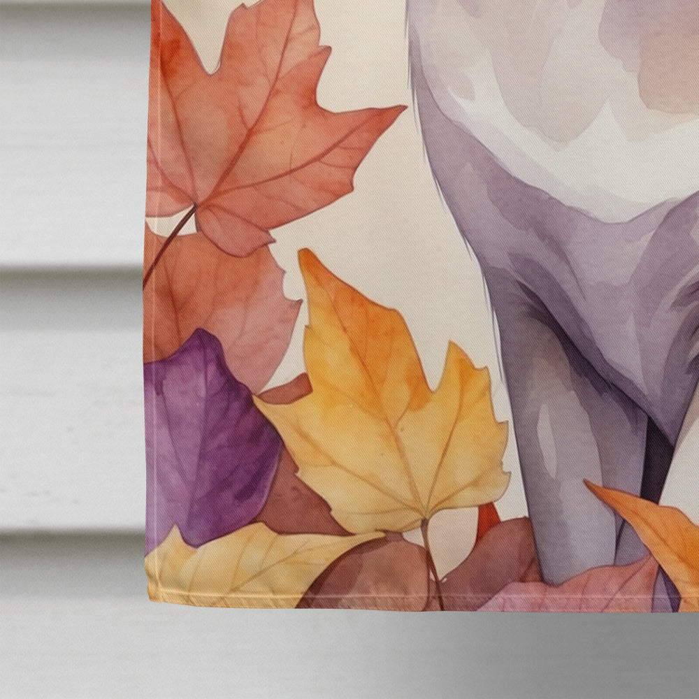 Thai Lilac Cat in Fall Leaves House Flag