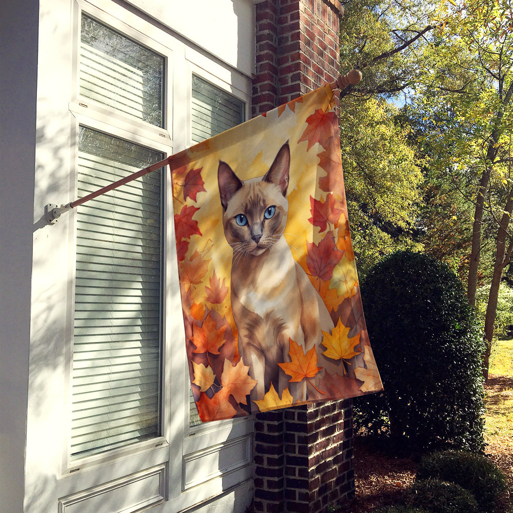 Tonkinese Cat in Fall Leaves House Flag