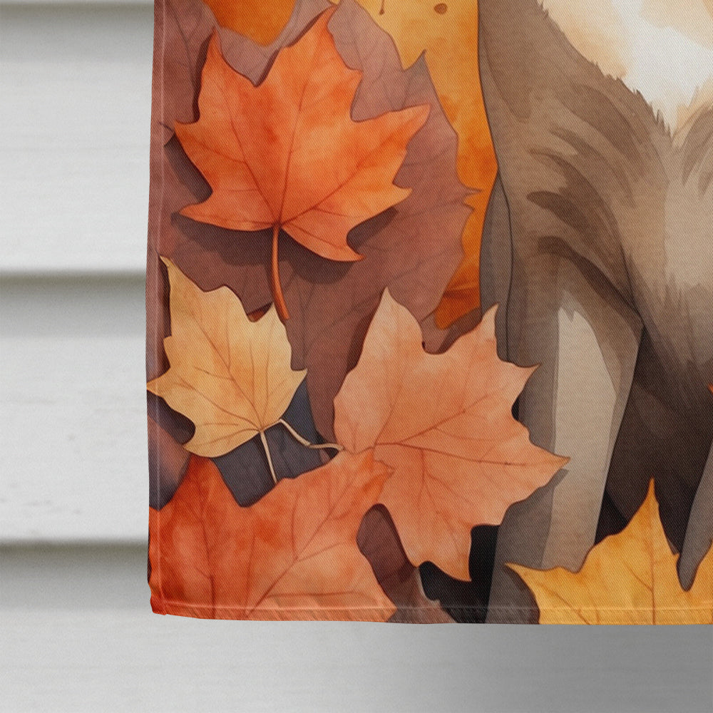 Tonkinese Cat in Fall Leaves House Flag