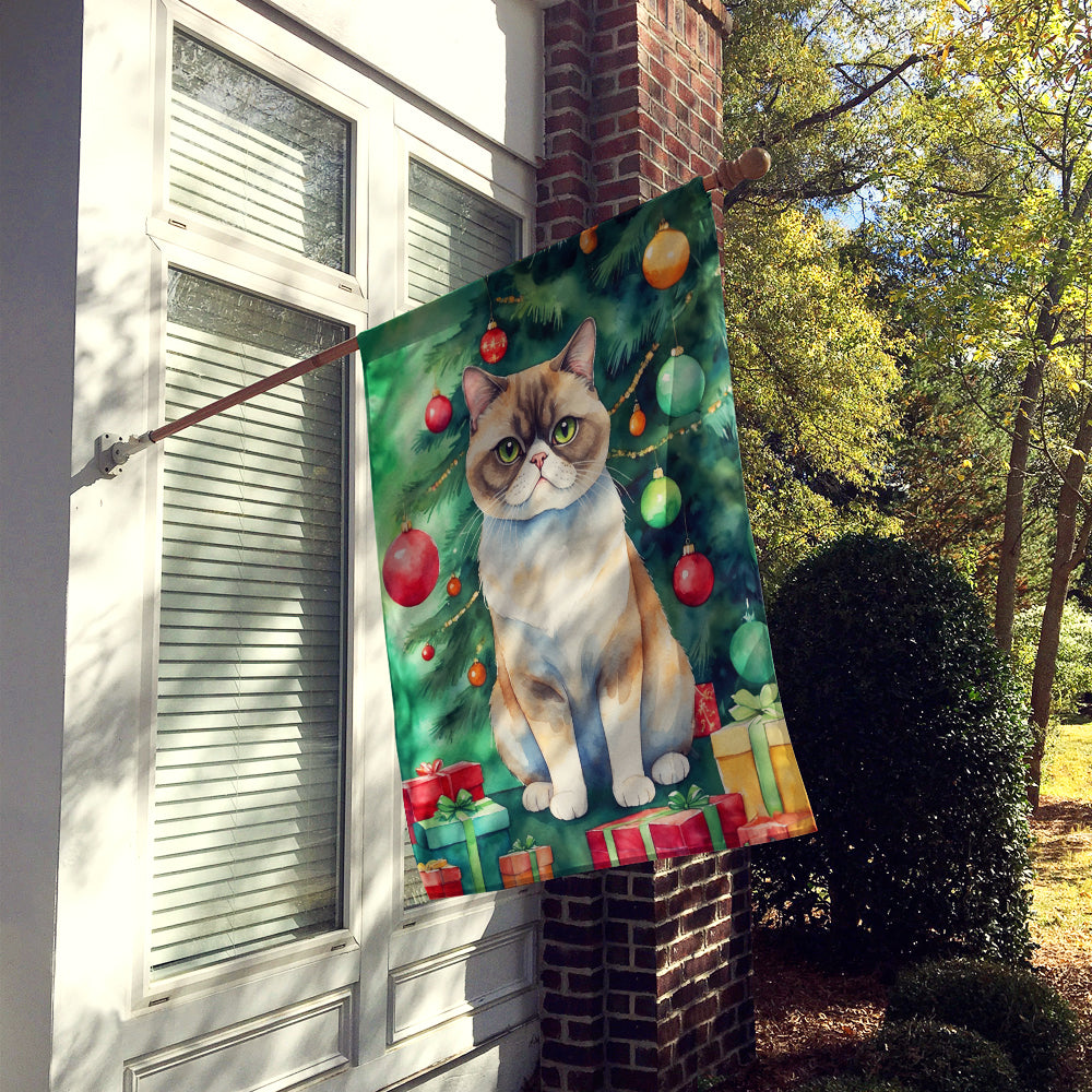 Exotic Shorthair Cat By the Christmas Tree House Flag